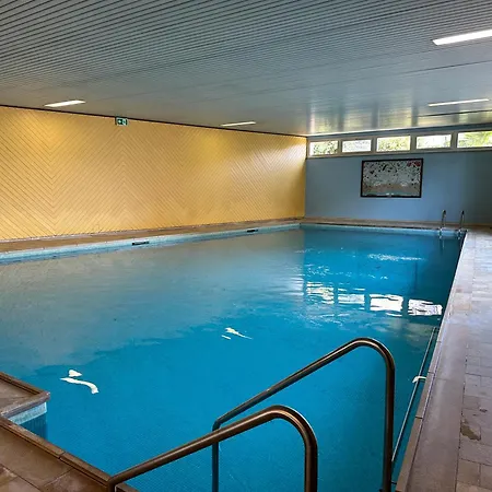 Palme 004 By Fewotessin * Locarno