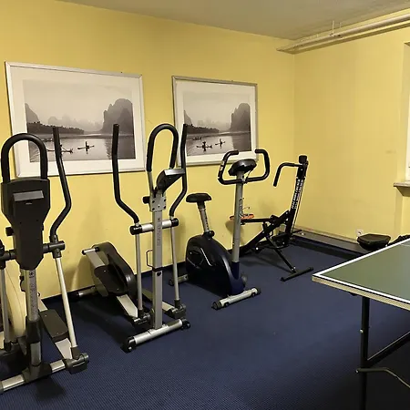 Palme 004 By Fewotessin Apartman Locarno